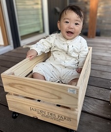 四年目の春を迎えて剪定工事行いました