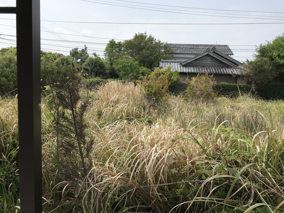 雑草対策,宮崎