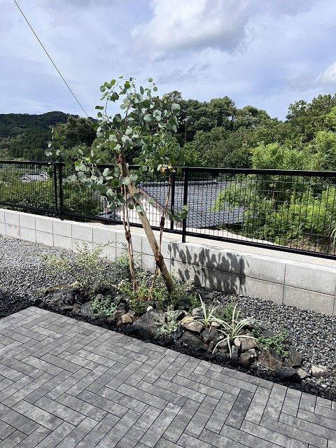 「花壇をつくる」から始まった、ちょっと素敵な植栽スペース＊霧島市H様邸