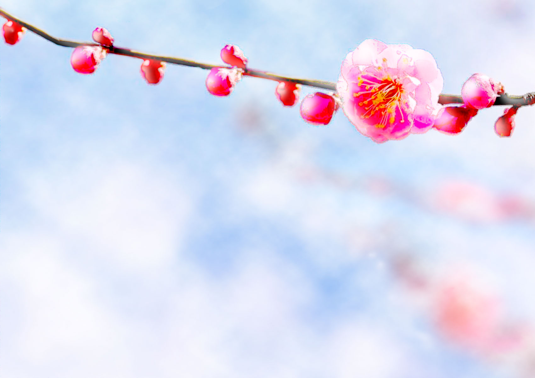 ガーデン光房　年末年始休業のお知らせ2025～2026